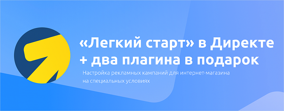 Спецпредложение на настройку Яндекс Директа